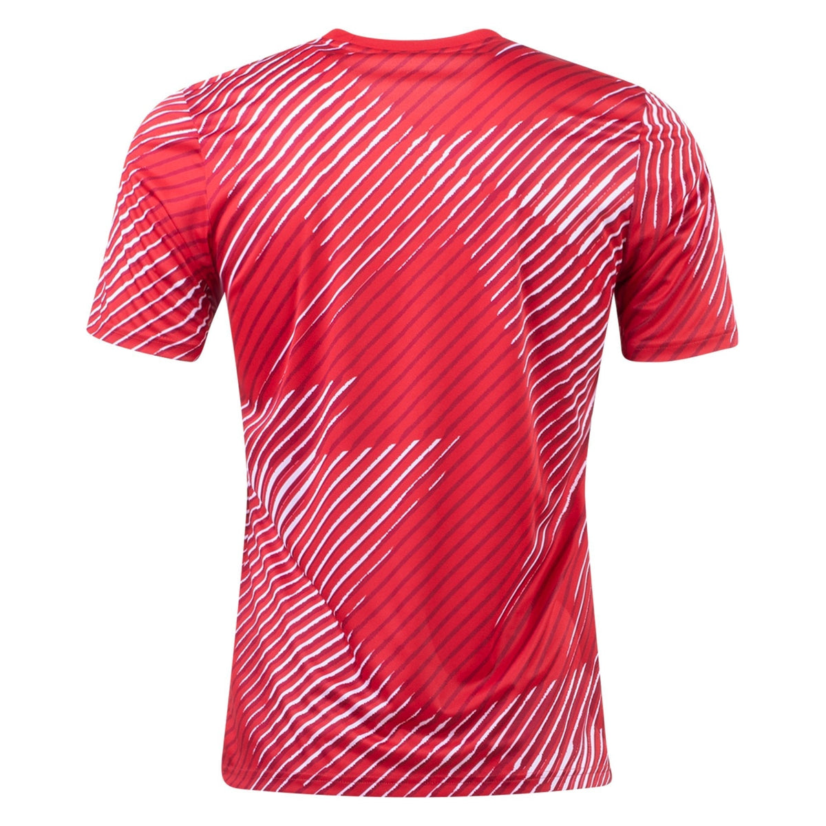 MAILLOT PREMATCH JAPON 2022/2023